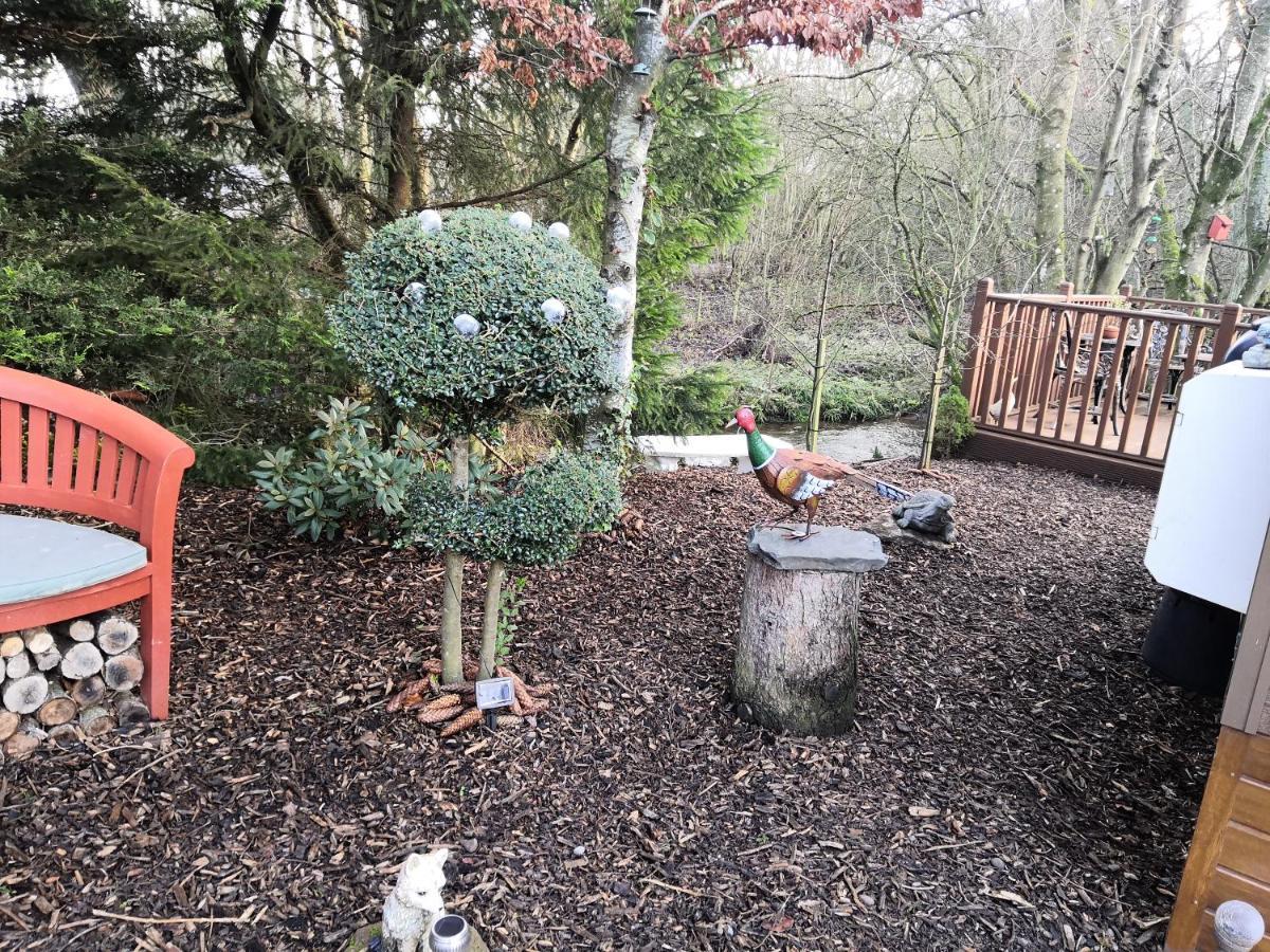 12 Burnside Lodge Auchterarder Dış mekan fotoğraf
