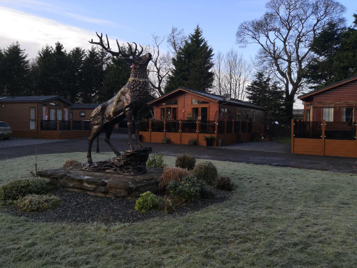 12 Burnside Lodge Auchterarder Dış mekan fotoğraf